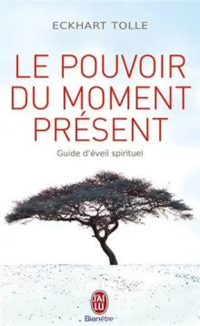 Le-pouvoir-du-moment-present