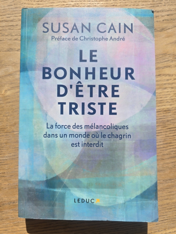 Le bonheur d'être triste: La force des mélancoliques dans un monde où le chagrin est interdit
