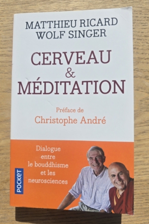 Cerveau et méditation : Dialogue entre le bouddhisme et les neurosciences