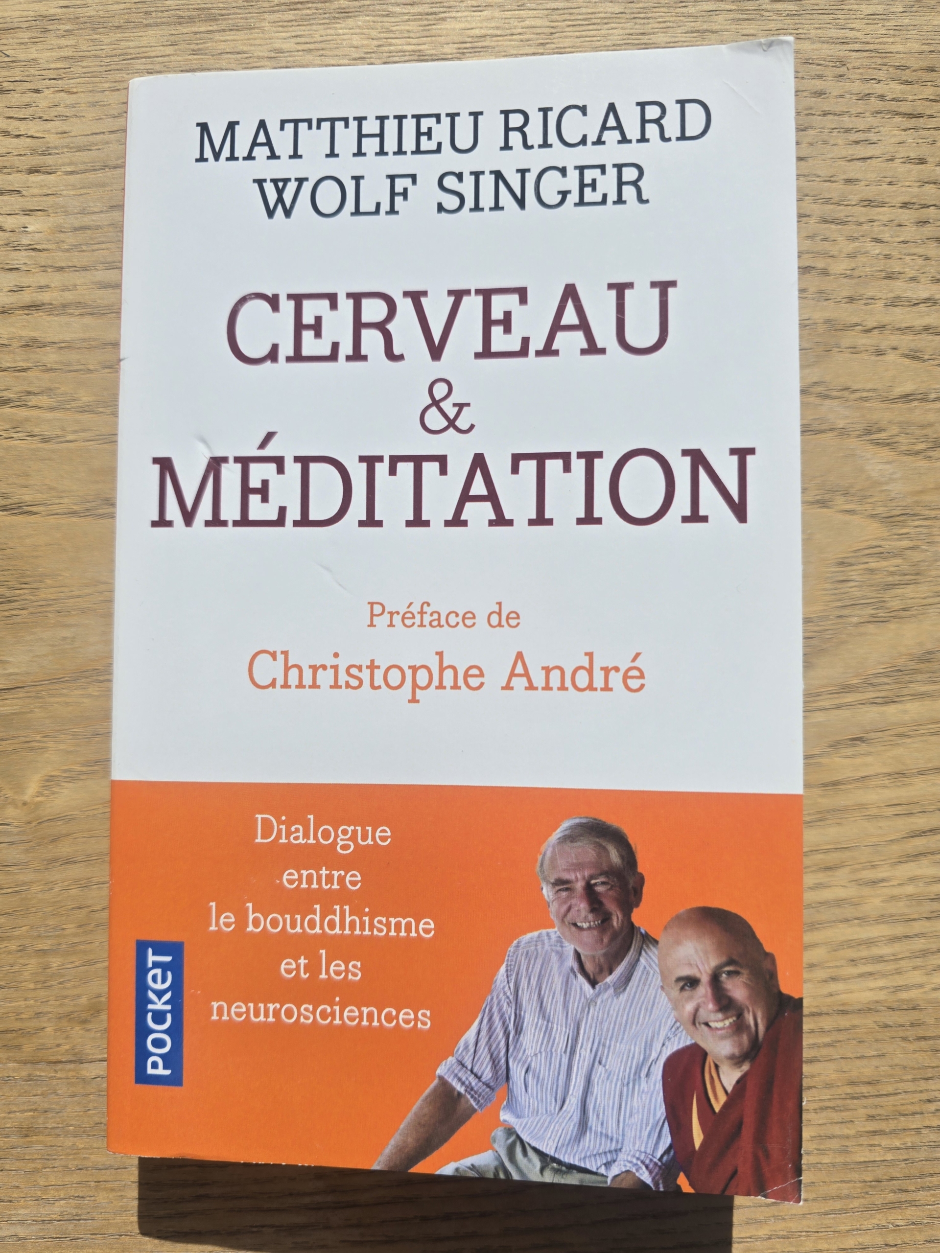 Cerveau et méditation : Dialogue entre le bouddhisme et les neurosciences