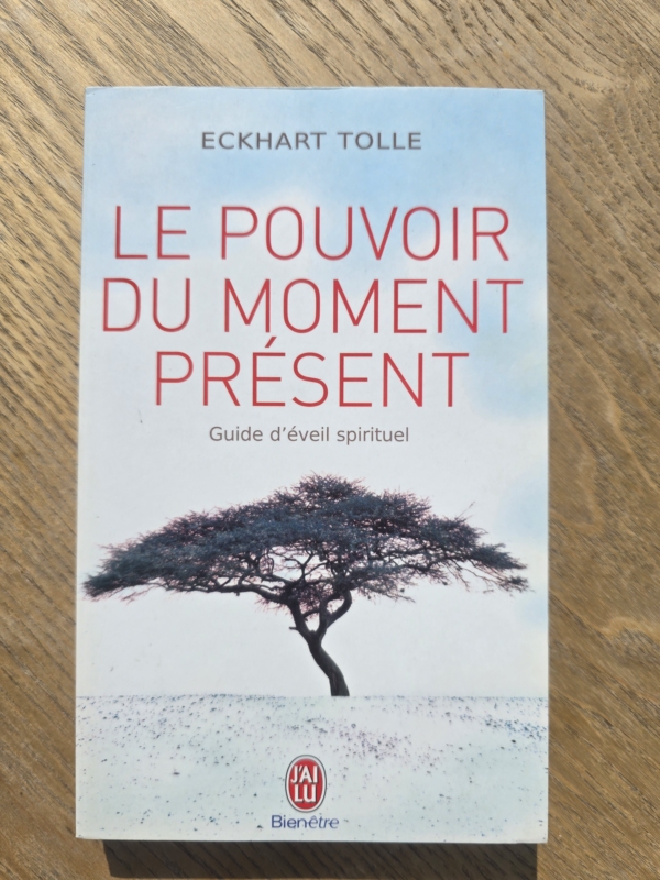 Le pouvoir du moment présent : guide d'éveil spirituel