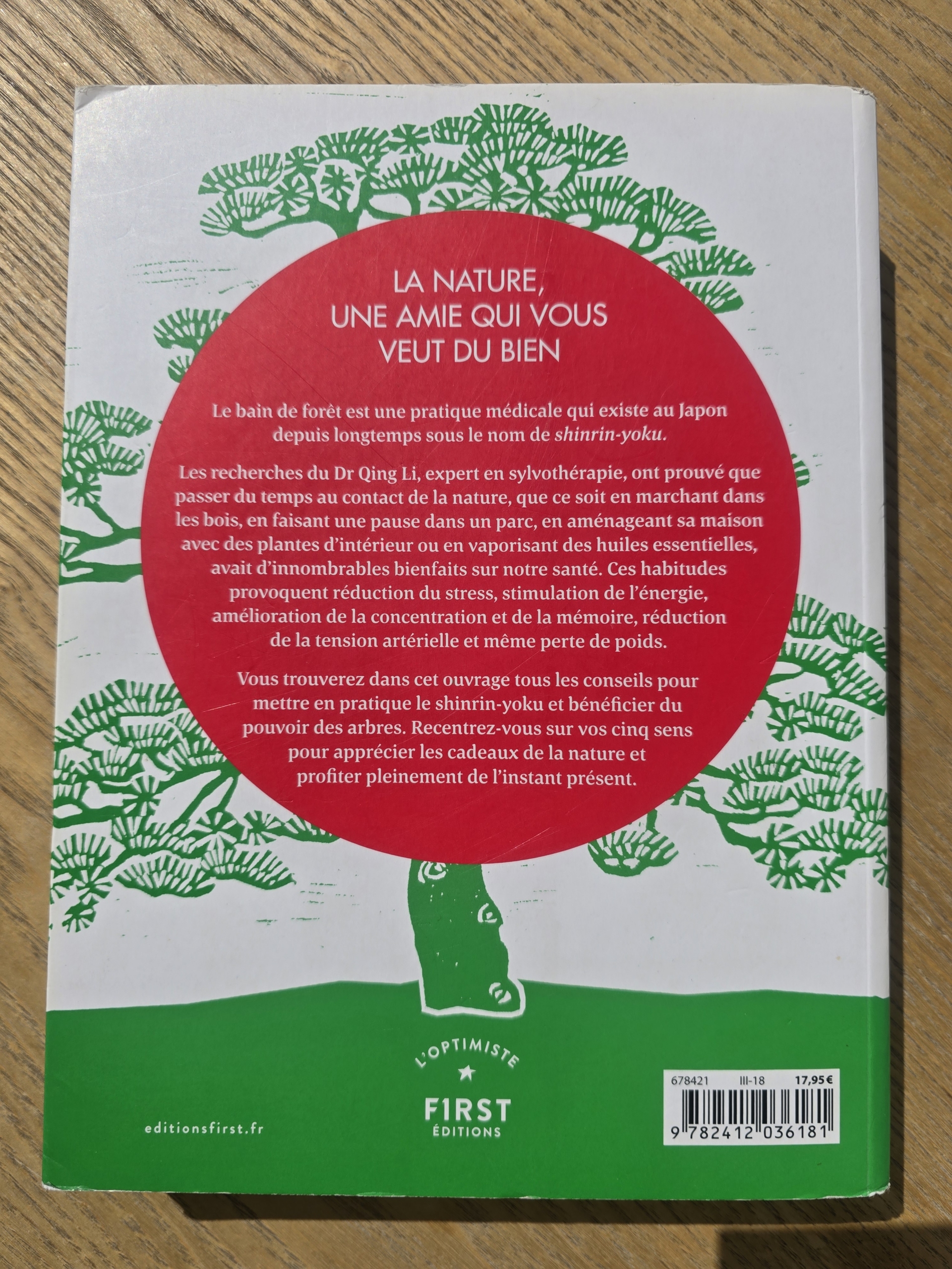 Shinrin-Yoku: L'art et la science du bain de forêt – Image 2