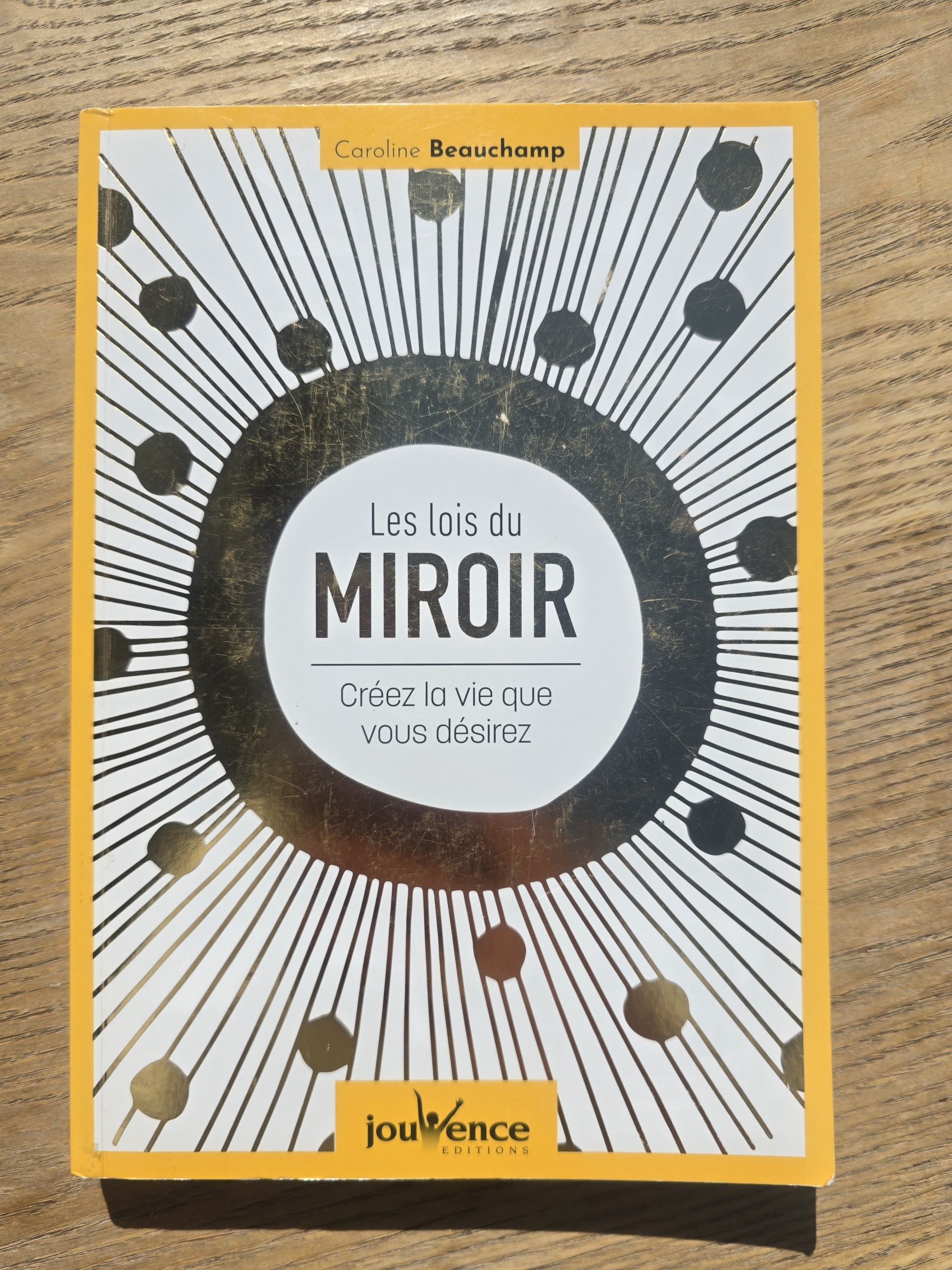 Les lois du miroir